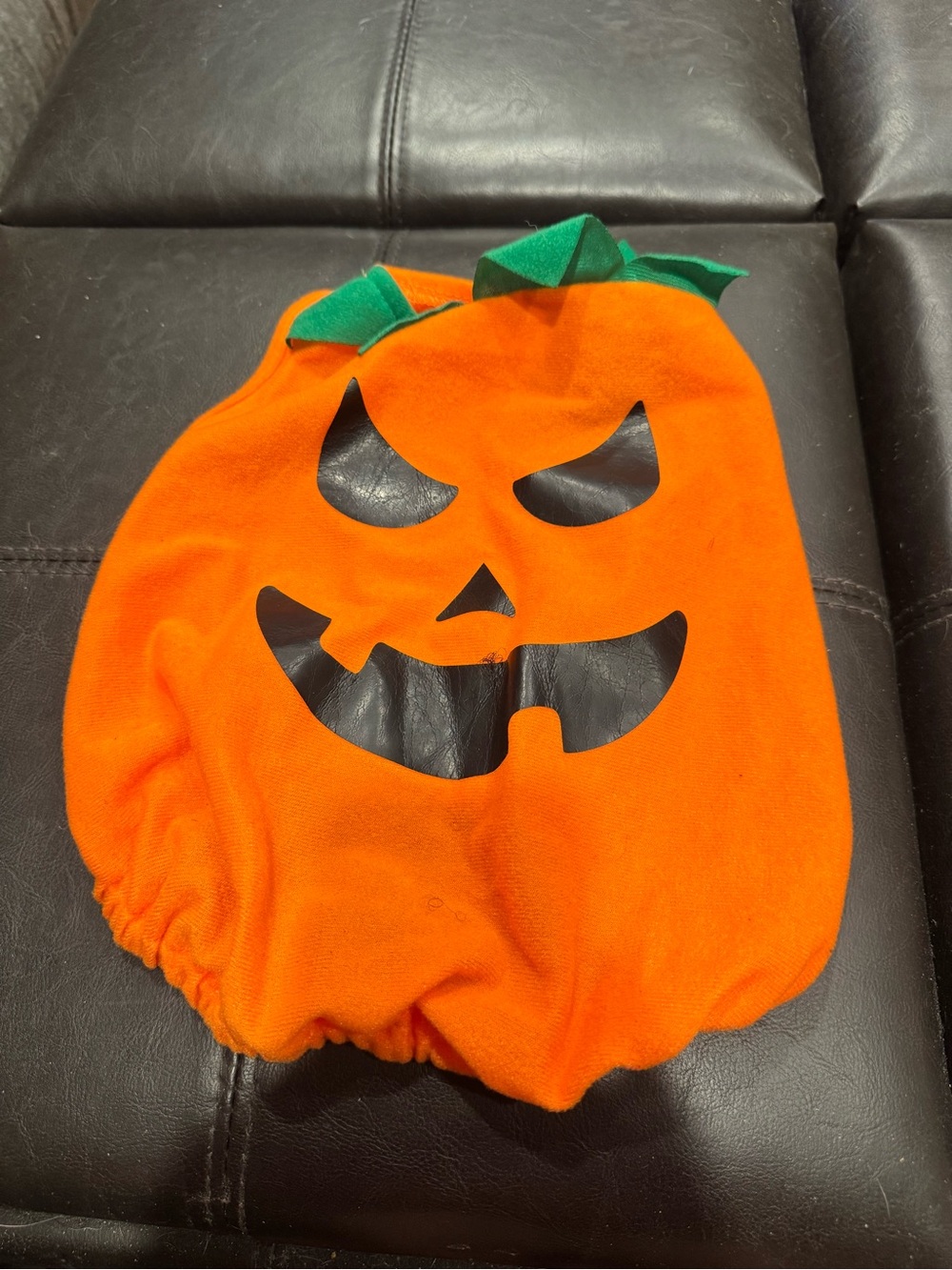 Orange Pumpkin Jack-O'-Lantern Dog Costume